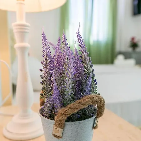 Appartamento Limani Andiparo