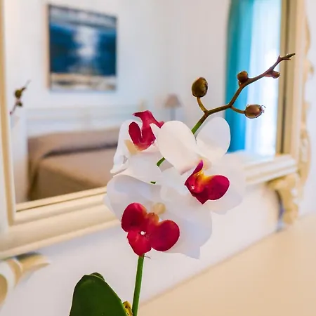 Limani Apartment *