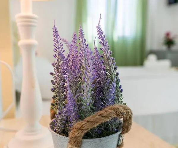 Apartman Limani Andíparosz